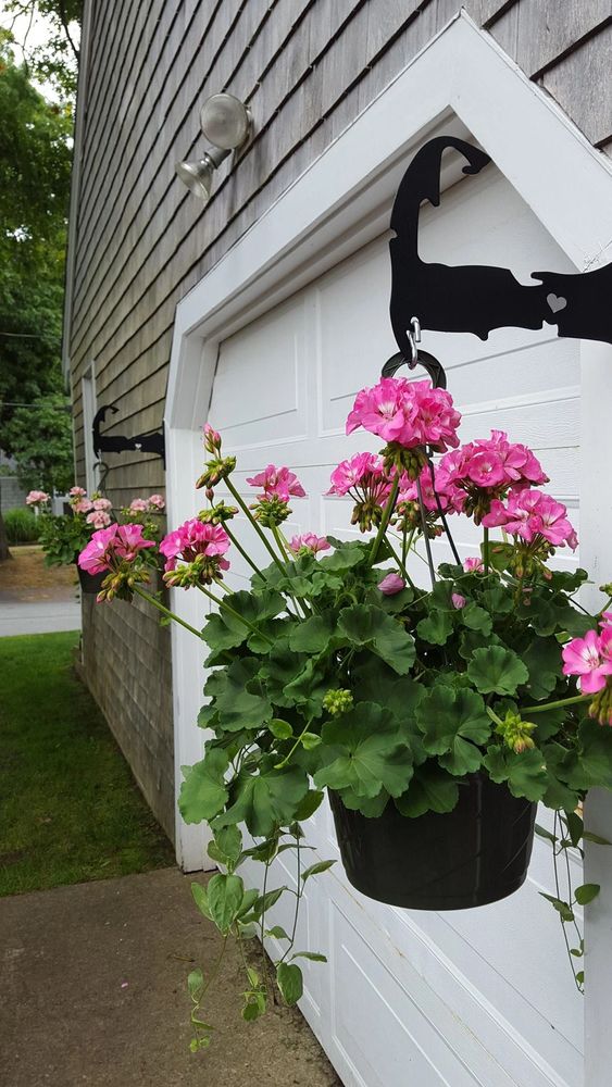 Cape Cod Plant Hangers